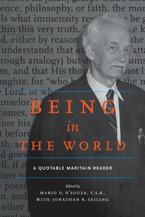 Cover image for book Being in the World