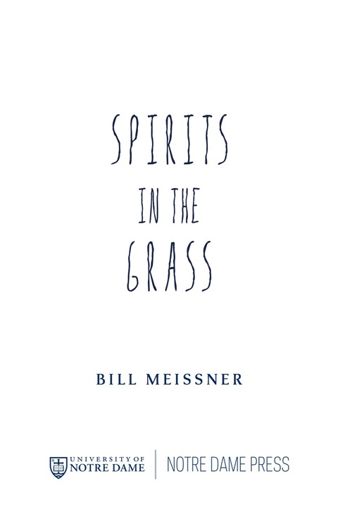 Cover image for book Spirits in the Grass