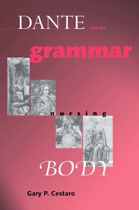 Cover image for book Dante and the Grammar of the Nursing Body
