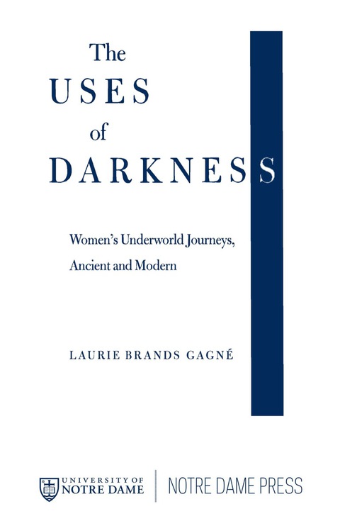 Cover image for book The Uses of Darkness