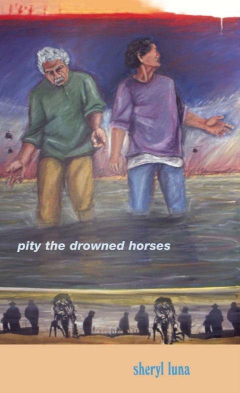 Cover image for book Pity the Drowned Horses