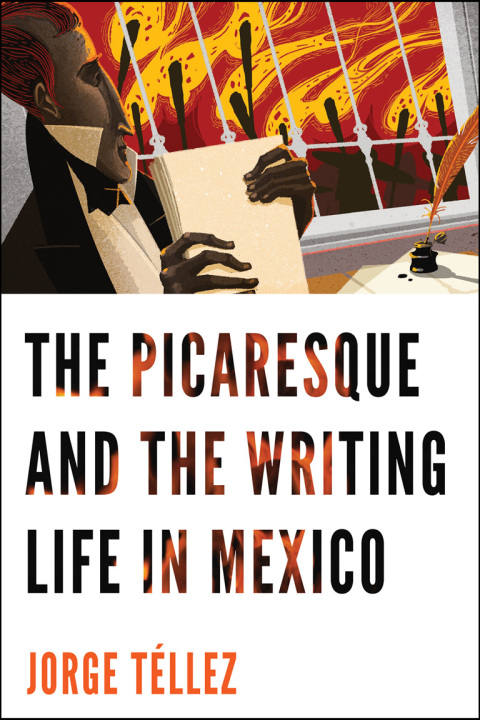 Cover image for book The Picaresque and the Writing Life in Mexico