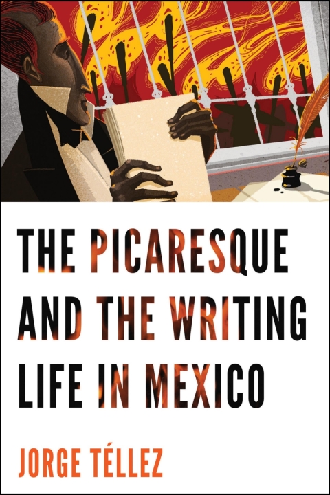 Cover image for book The Picaresque and the Writing Life in Mexico