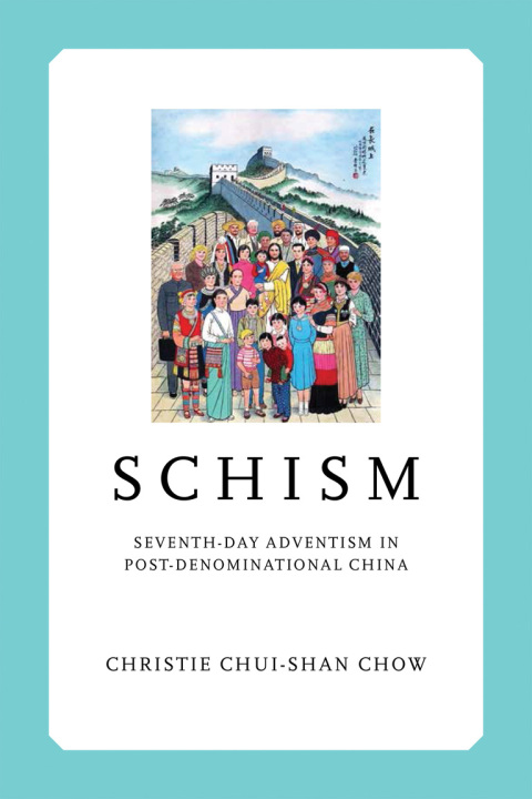 Cover image for book Schism