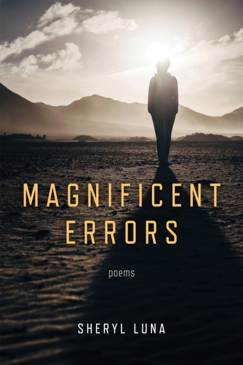 Cover image for book Magnificent Errors