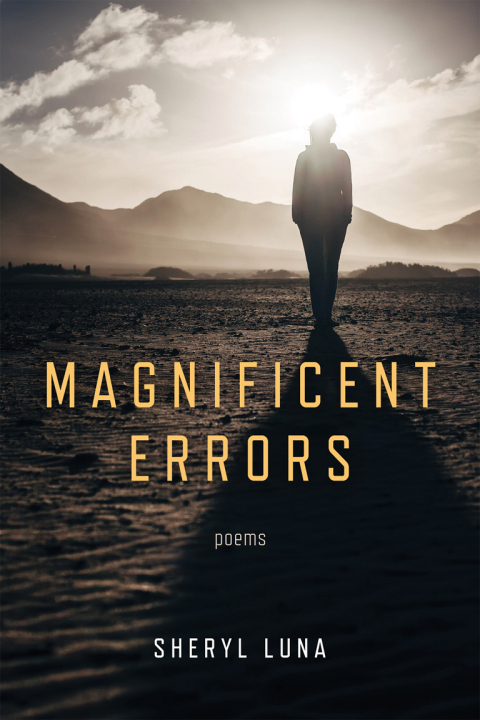 Cover image for book Magnificent Errors