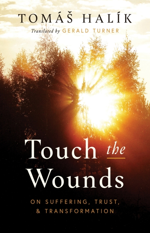 Cover image for book Touch the Wounds