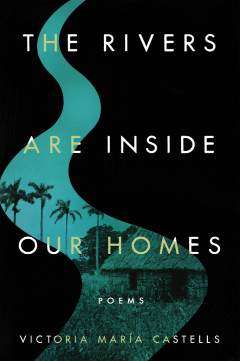 Cover image for book The Rivers Are Inside Our Homes