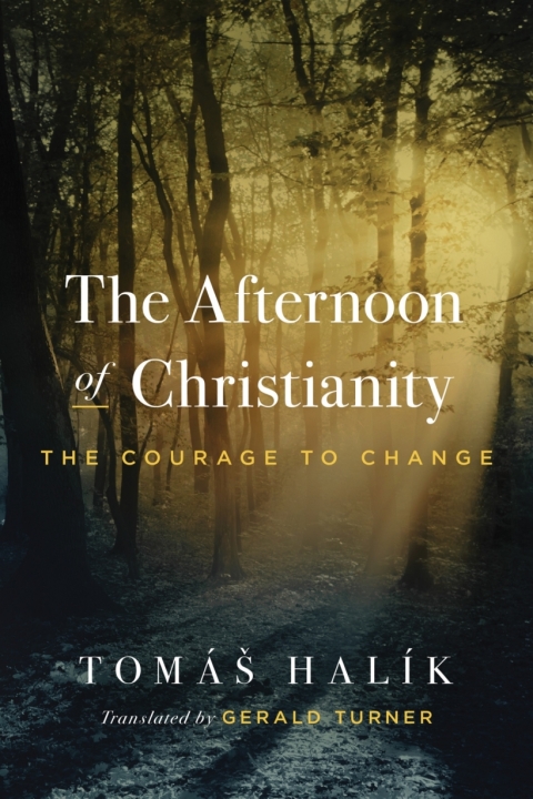 Cover image for book The Afternoon of Christianity