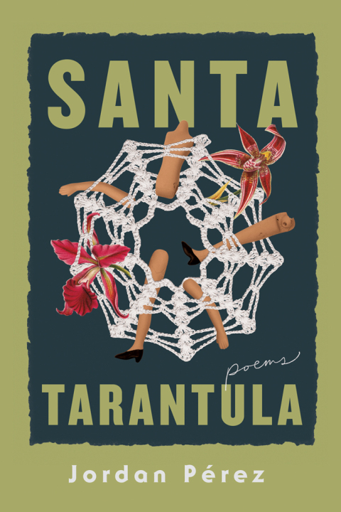 Cover image for book Santa Tarantula