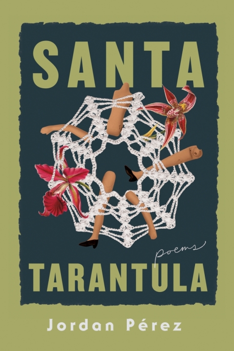 Cover image for book Santa Tarantula