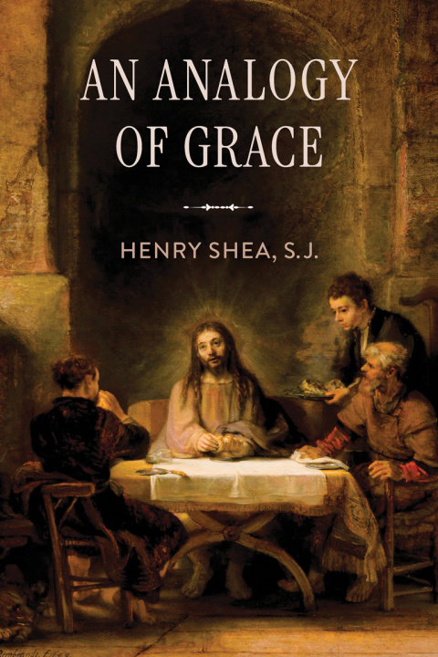 Cover image for book An Analogy of Grace