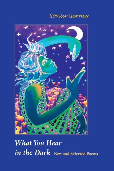 Cover image for book What You Hear in the Dark