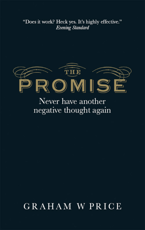 Cover image for book The Promise