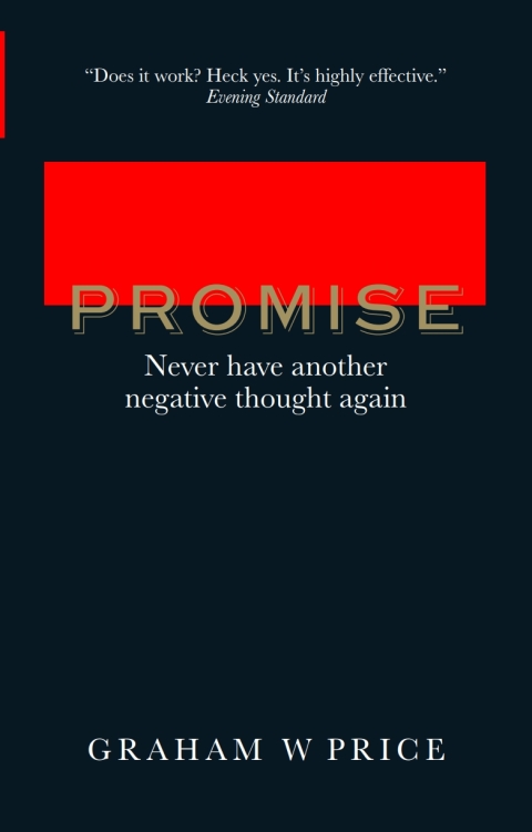 Cover image for book The Promise