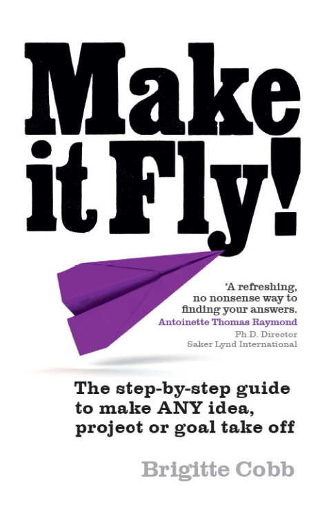 Cover image for book Make It Fly!