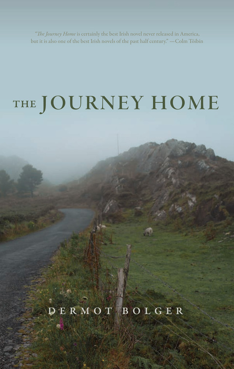 Cover image for book The Journey Home