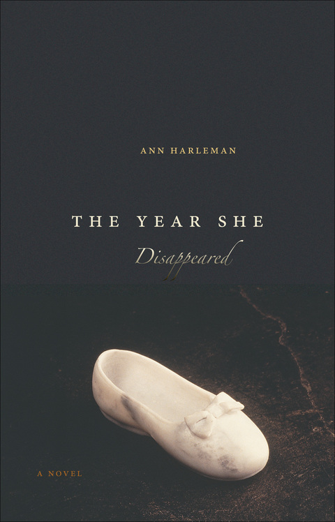 Cover image for book The Year She Disappeared
