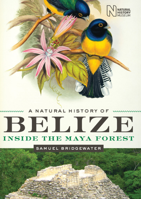 Cover image for book A Natural History of Belize