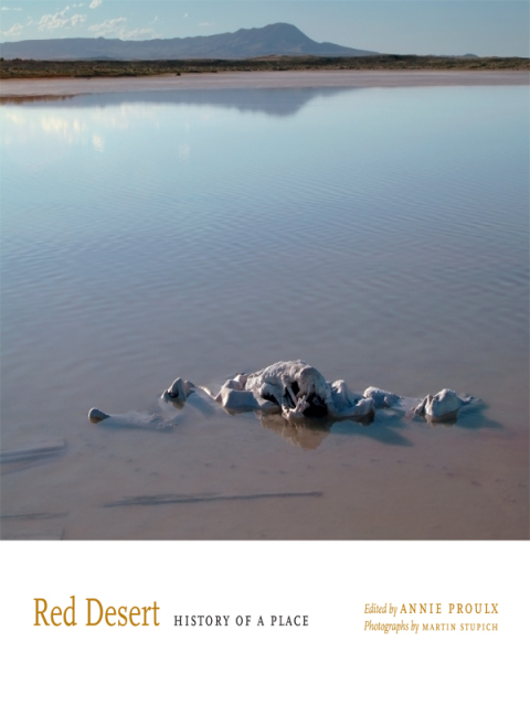 Cover image for book Red Desert