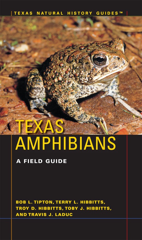 Cover image for book Texas Amphibians