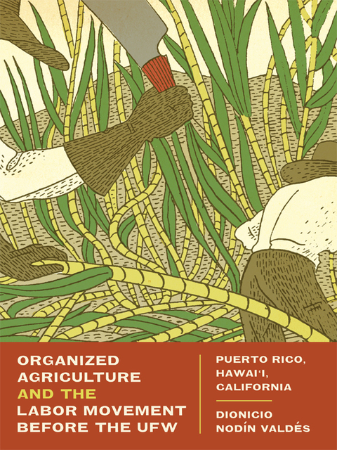 Cover image for book Organized Agriculture and the Labor Movement before the UFW