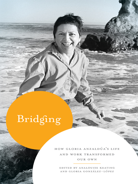 Cover image for book Bridging