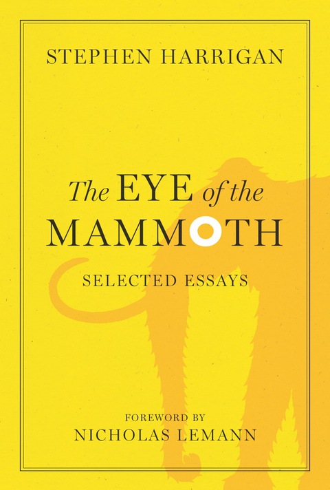 Cover image for book The Eye of the Mammoth