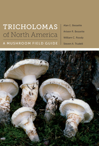 صورة الغلاف: Tricholomas of North America 9780292742338