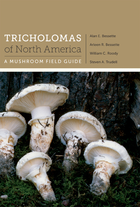 Cover image for book Tricholomas of North America