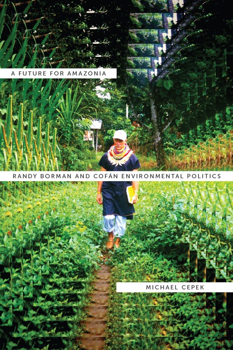Cover image for book A Future for Amazonia
