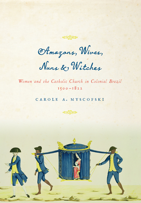 Cover image for book Amazons, Wives, Nuns, and Witches