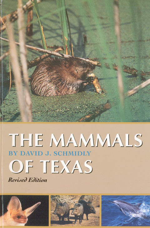 Cover image for book The Mammals of Texas
