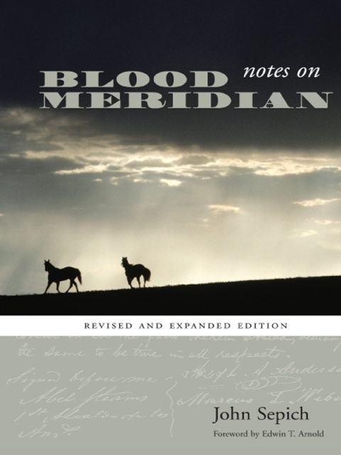Cover image for book Notes on Blood Meridian
