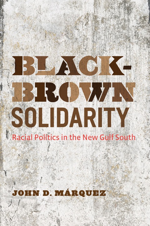 Cover image for book Black-Brown Solidarity
