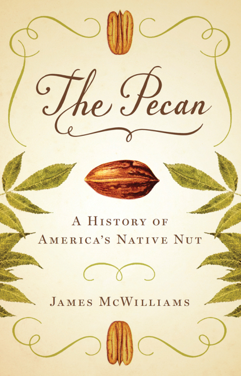 Cover image for book The Pecan
