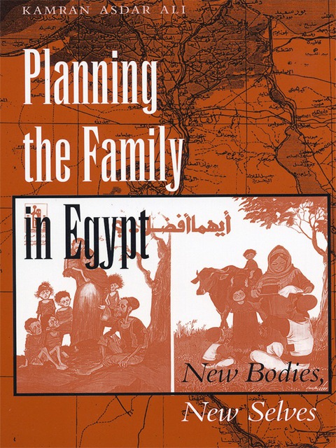 Cover image for book Planning the Family in Egypt