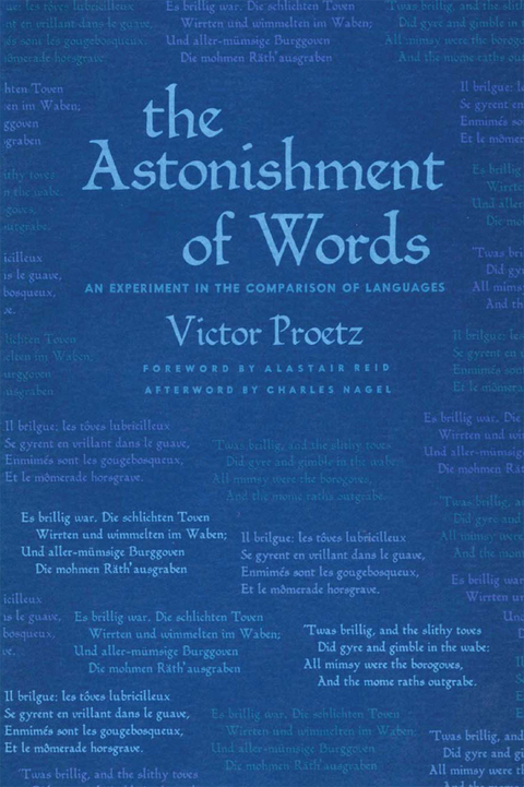 Cover image for book The Astonishment of Words