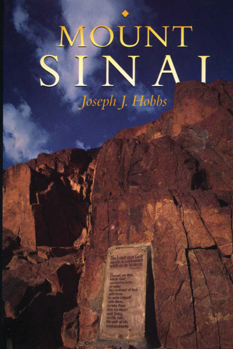 Cover image for book Mount Sinai