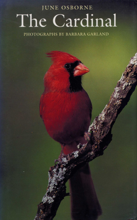 Cover image for book The Cardinal