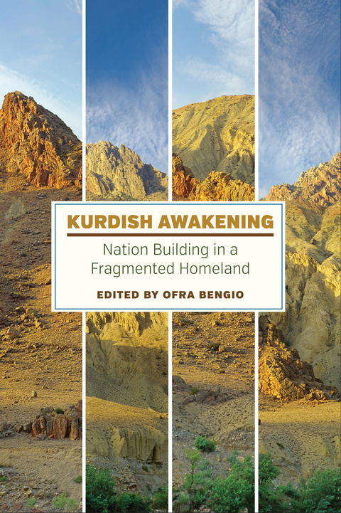 Cover image for book Kurdish Awakening