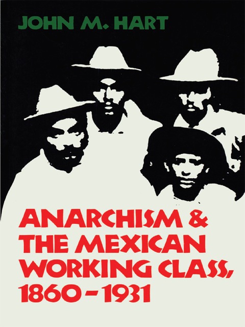 Cover image for book Anarchism