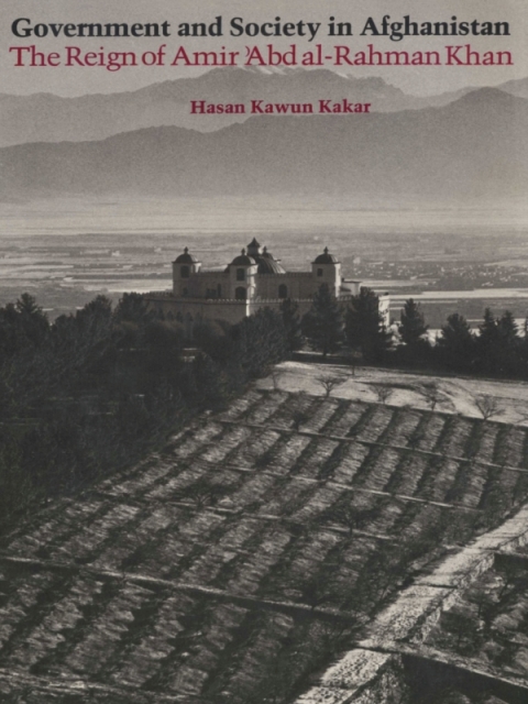 Cover image for book Government and Society in Afghanistan