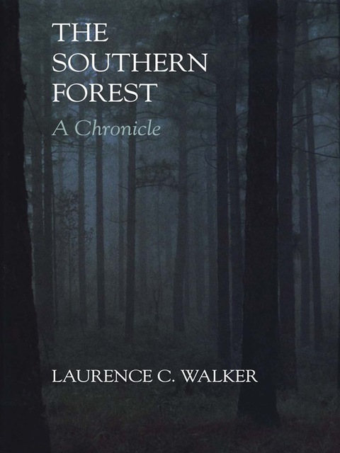 Cover image for book The Southern Forest
