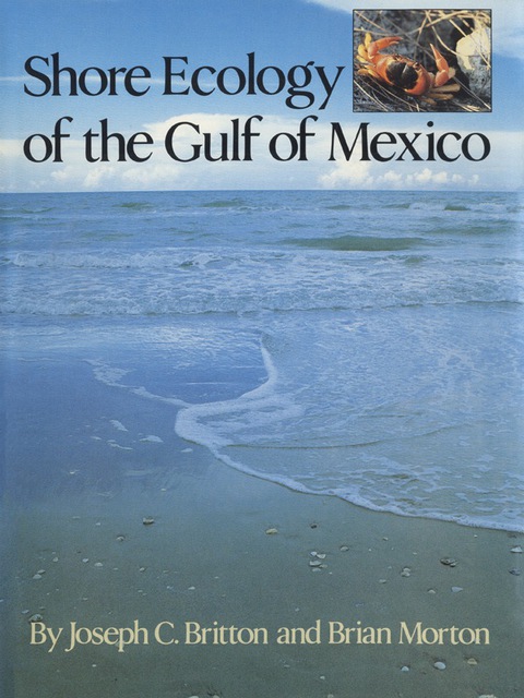 Cover image for book Shore Ecology of the Gulf of Mexico