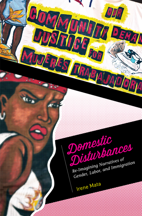Cover image for book Domestic Disturbances