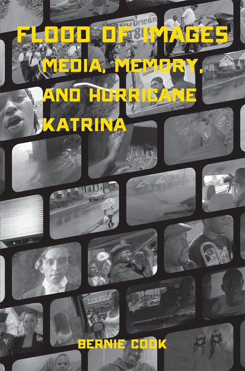 Cover image for book Flood of Images