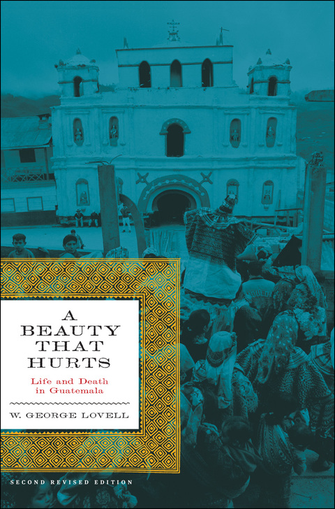 Cover image for book A Beauty That Hurts