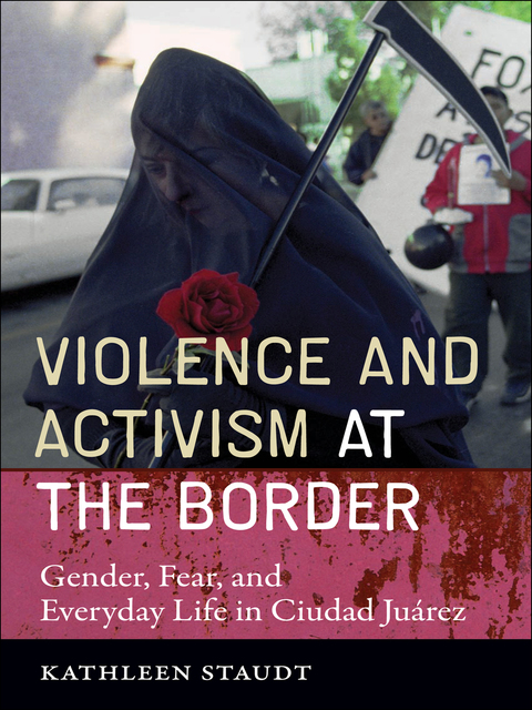 Cover image for book Violence and Activism at the Border