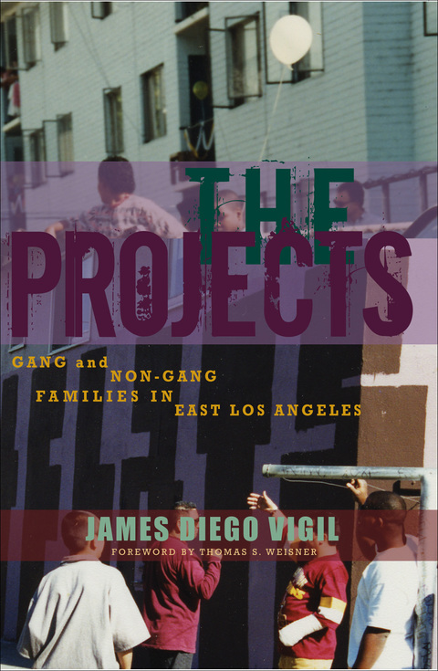 Cover image for book The Projects